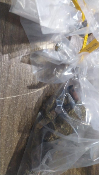 Droga apreendida. Foto: PMPR