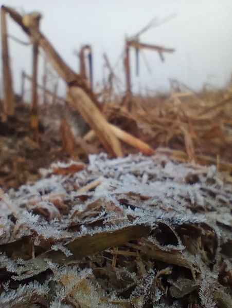 Fotos: INternauta/Interior de Nova Santa Rosa.Portal Nova Santa Rosa.