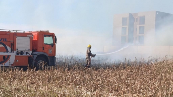 Fotos: Portal Nova Santa Rosa