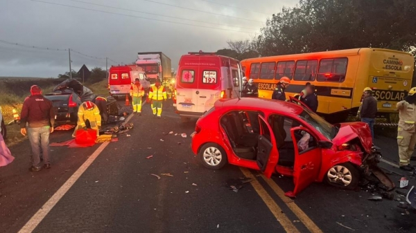 Fotos: Sandro Kerkhoven/Portal Corbélia.