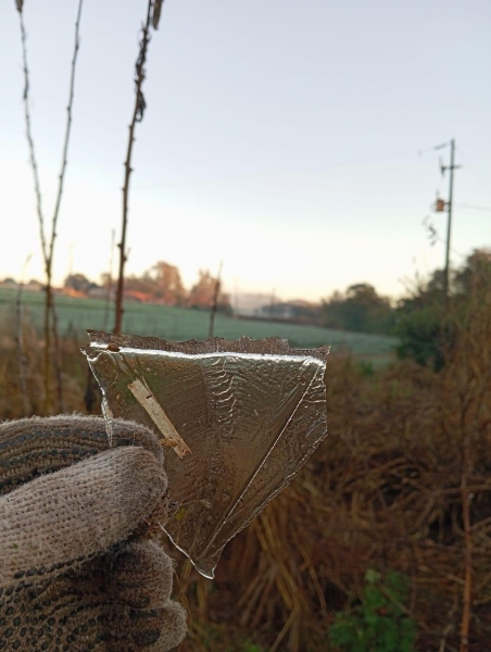 Nova Santa Rosa. Foto: Internauta