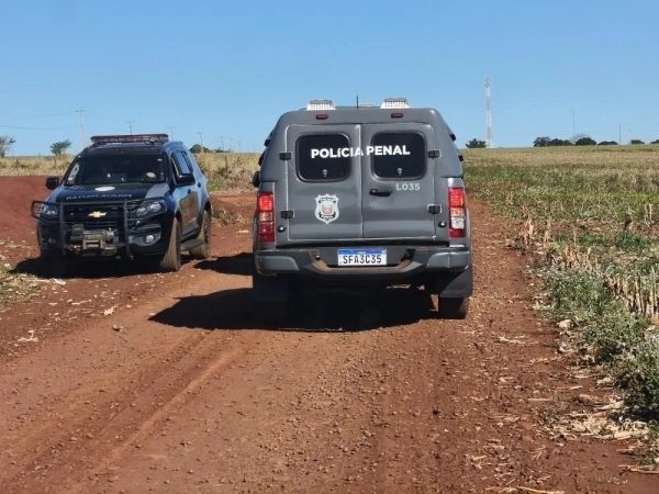 Foto: Marcio Cerny/ Marechal News