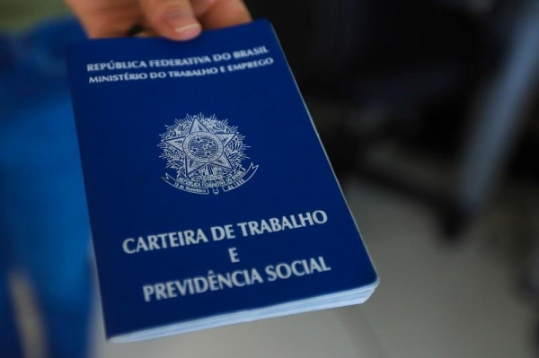 Foto: Geraldo Bubniak (AEN-PR)