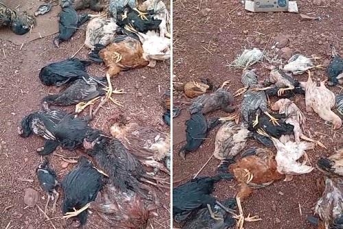 Fotos: Radar Paranaense