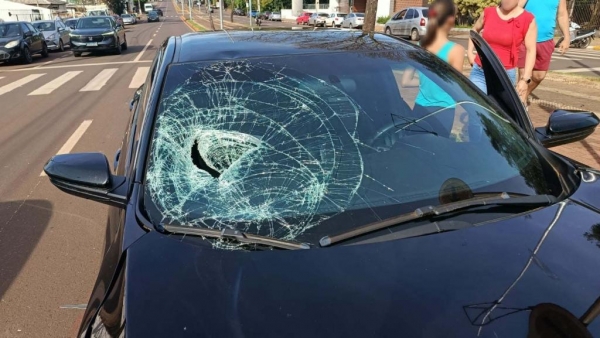 Fotos: Portal Nova Santa Rosa