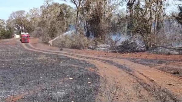 Foto: Tropical Notícias