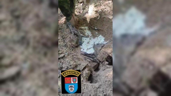 Foto: Polícia Ambiental.