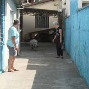 Maristela, Heitor e Anelise. — Foto: Jorge Melo/RPC