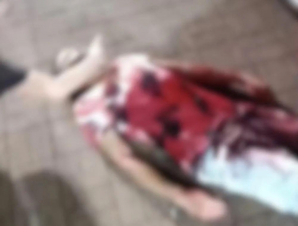 Foto: Tribuna de Palotina