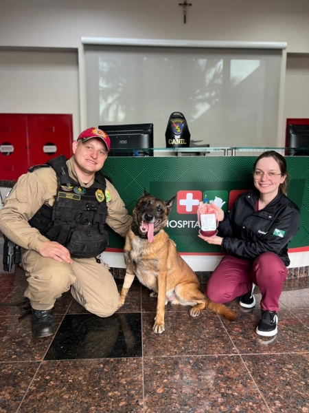 K9 Átila, Foto: PRE.