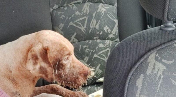 Foto: Tropical Notícias