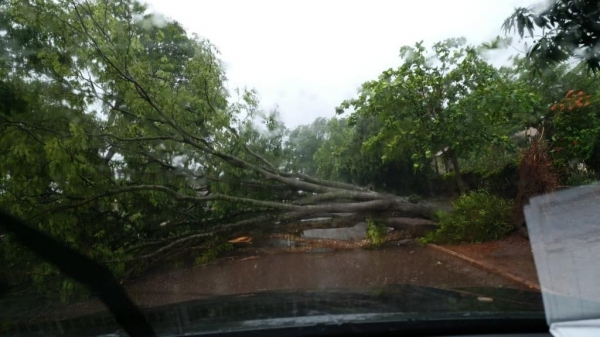 Fotos: Internautas do Portal Nova santa Rosa.