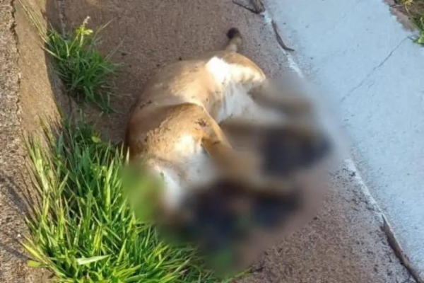 Foto: Colaboração/OBemdito