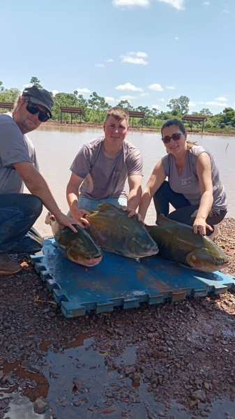 Fotos: Divulgação.