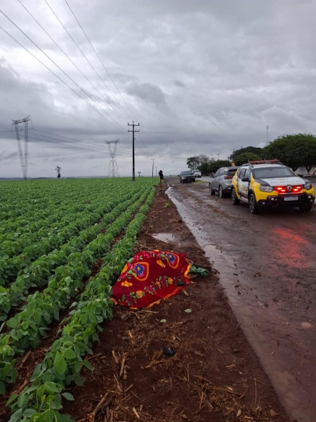 O idoso morreu atropelado. Foto: PRE