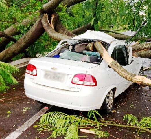 Fotos: Reprodução/GoioNews
