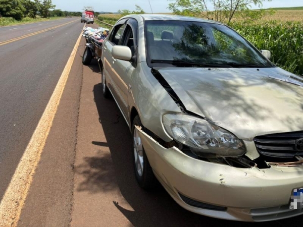 Foto: Ponto da Notícia.