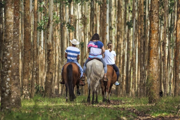 Turismo Rural no Paraná pesquisa mostra setor em expansão e perfil qualificado de empreendedores Foto: SETU