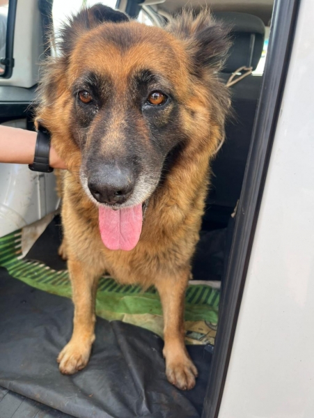 Fotos Portal Nova Santa Rosa.