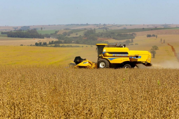 Foto: Jaelson Lucas/Arquivo AEN