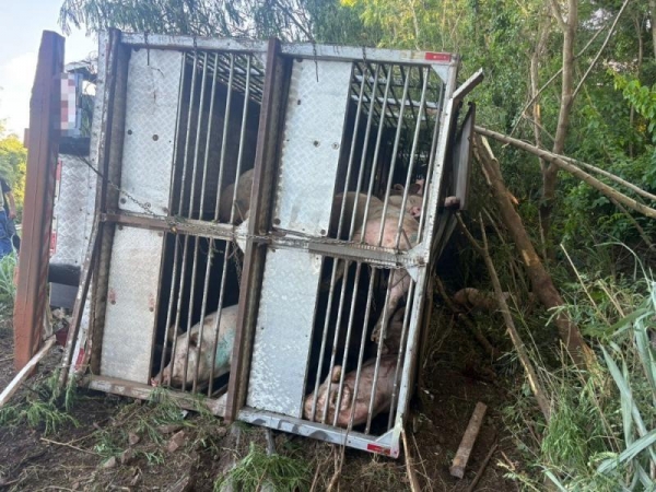 Fotos: Ponto da Notícia.