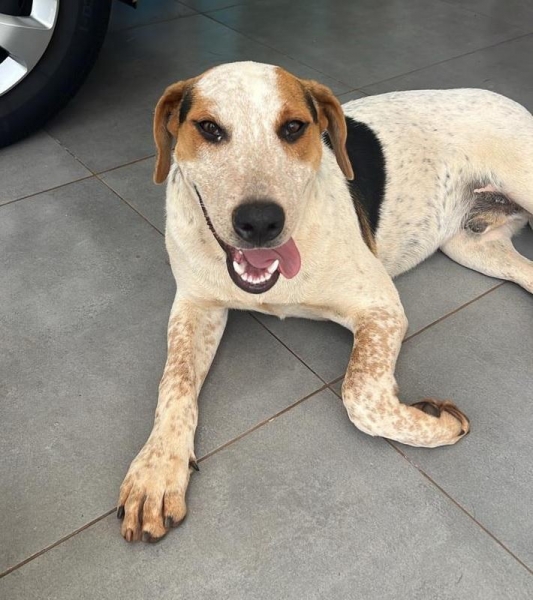 Fotos: Redes Sociais.