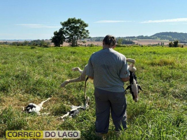 Fotos: Correio do Lago