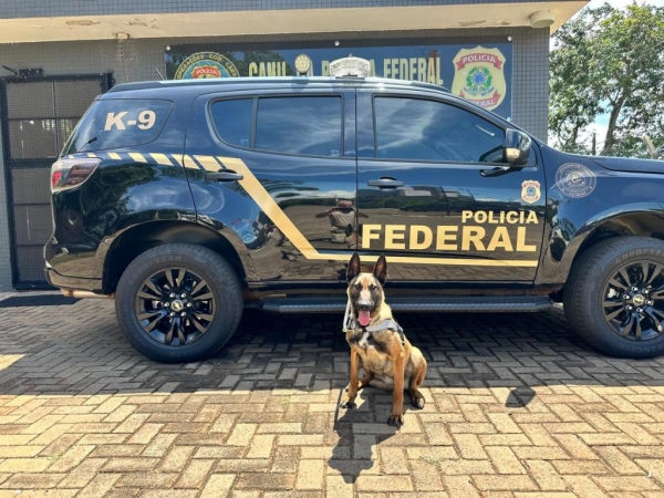 Foto: Policia Federal de Guaíra.