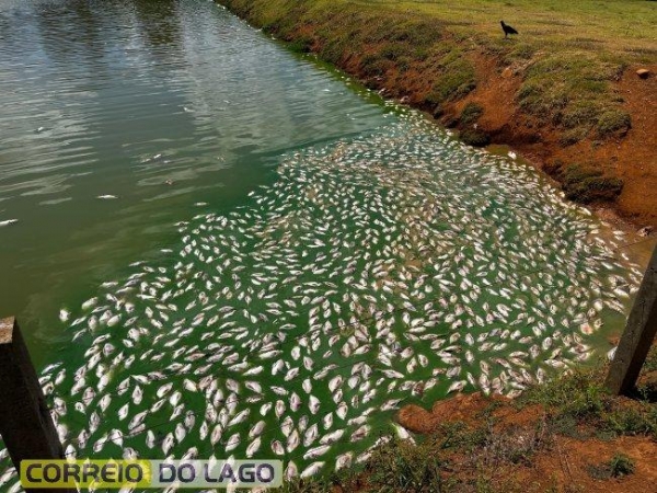 Fotos: Correio do Lago