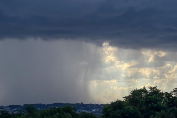 Foto: Roberto Dziura Jr/AEN