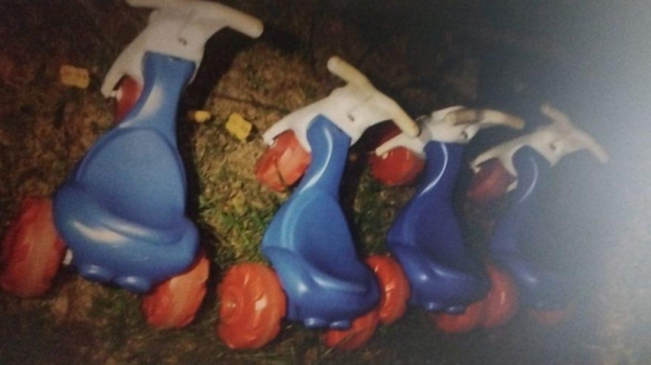 Foto: Guarda Municipal 