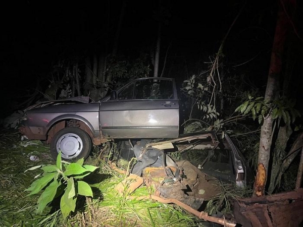 O condutor, de 29 anos, sofreu ferimentos considerados de média gravidade. Foto: PRF.