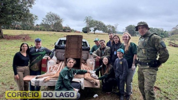 Fotos: Correio do Lago