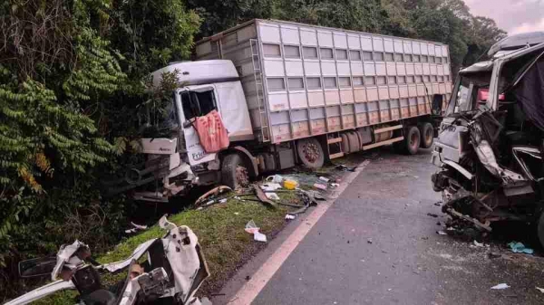 Foto: Abel Silvério