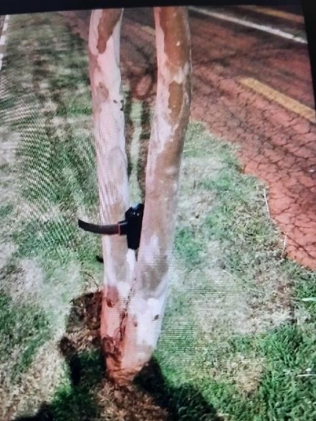 Tornozeleira encontrada em uma árvore. Foto: Divulgação/Guarda Municipal.