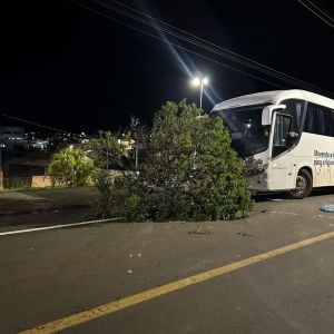 Telêmaco Borba. Foto: Divulgação.