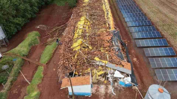 Aviário em Tupãssi. Foto: Catve