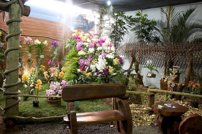 Festa Das Orquídeas E Do Peixe Difunde Potencialidades De Maripá 8711