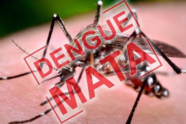 Dengue Mata Pessoas Em Uma Semana E Atinge Dos Munic Pios Do Paran
